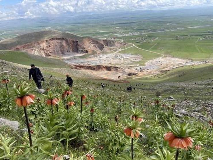 Yılda 15 gün canlı kalıyor: Ağlayan gelin için geldiler