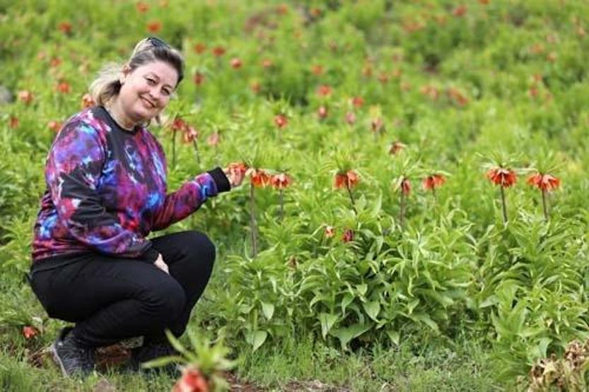 Yılda 15 gün canlı kalıyor: Ağlayan gelin için geldiler