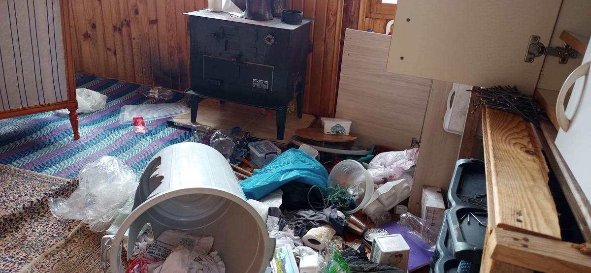Aç kalan ayılar yayla evlerini talan etti