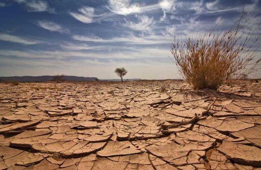El Nino başladı: 2024te sıcaklık rekoru kırılabilir