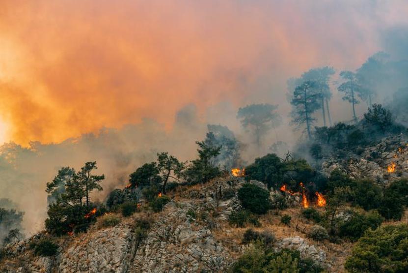 El Nino başladı: 2024te sıcaklık rekoru kırılabilir