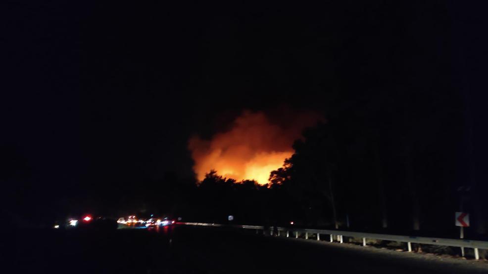 Antalya’da orman yangını