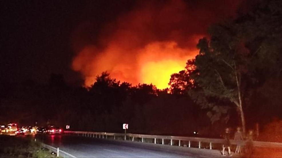 Antalya’da orman yangını