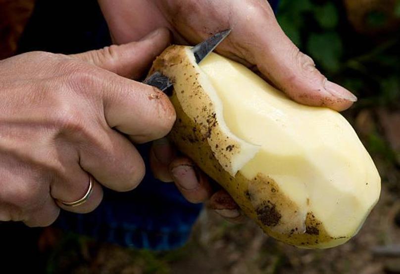 Patates böyleyse ağzınıza bile sürmeyin Sindirim sistemini mahvediyor