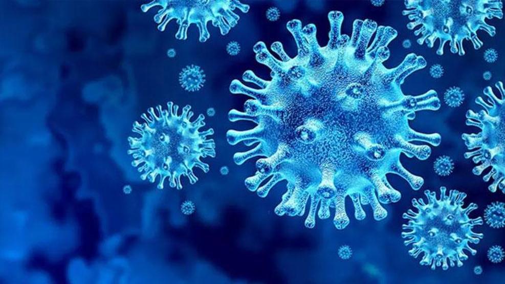 Adan Zye Eris varyantı: Yeniden kapanma olur mu