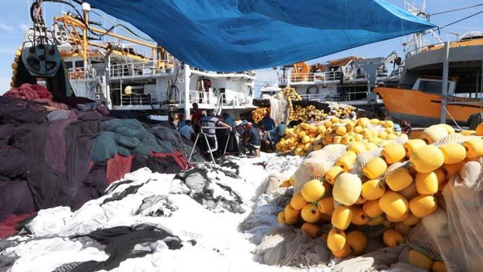 Haldeki hamsi tartışması sürüyor