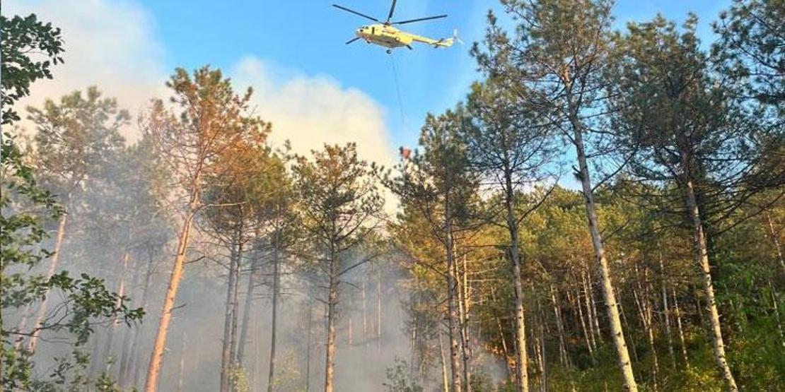 Karabük’te orman yangını: Havadan ve karadan müdahale sürüyor