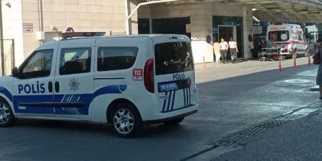 Ayının saldırdığı çobanın imdadına köpekleri yetişti!