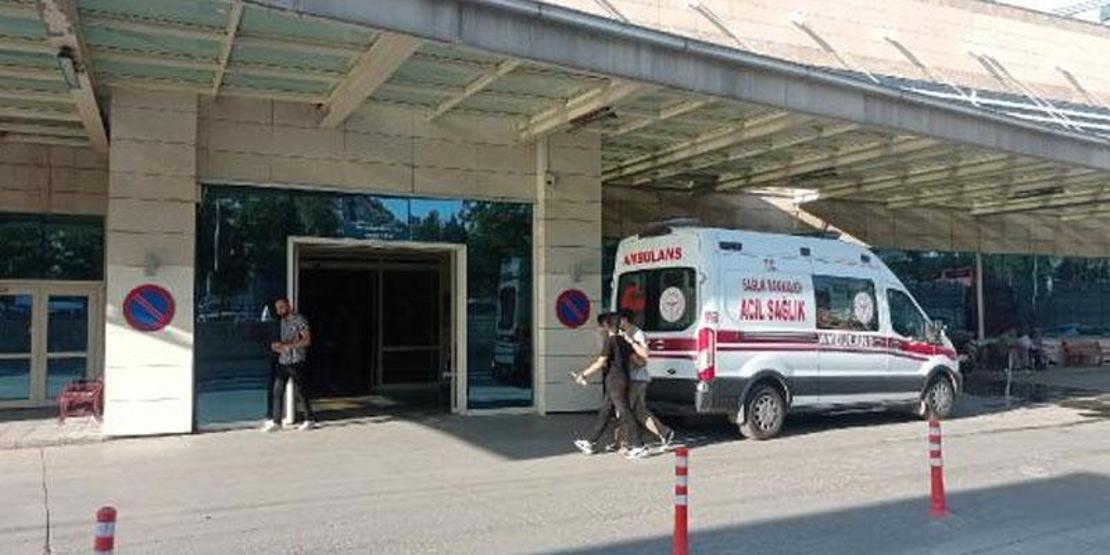 Ayının saldırdığı çobanın imdadına köpekleri yetişti!