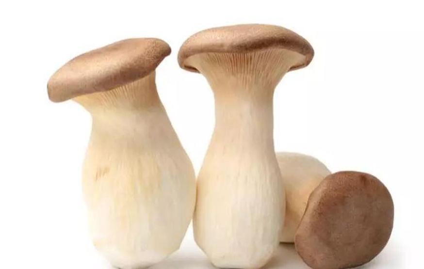 Mantar zehirlenmelerine dikkat! Tükettikten sonra bu belirtiler başladıysa...