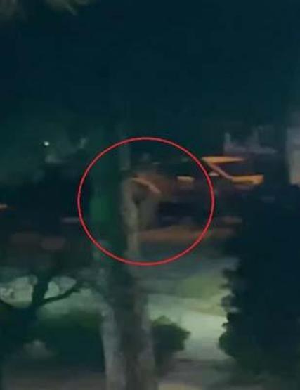 Öldürdüğü gece kulübü sahibini darbettiği anları sosyal medyadan yayınlamış