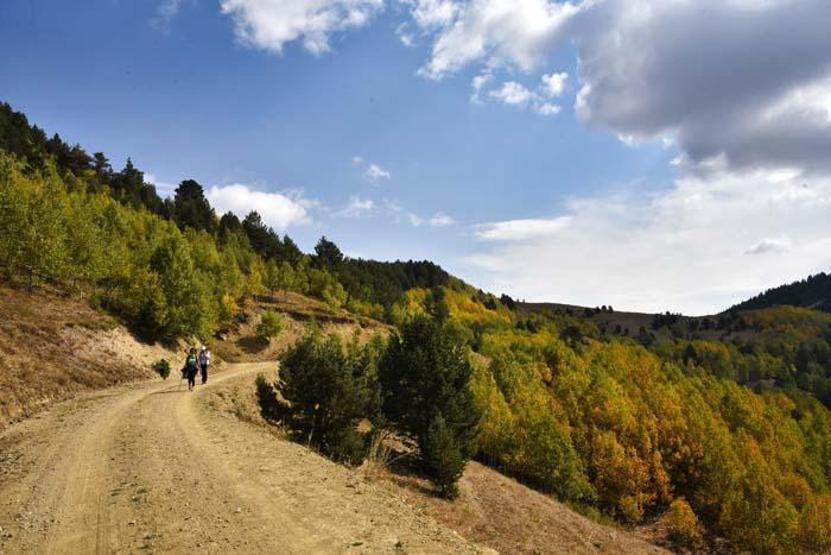 Sonbaharın en ihtişamlı yaşandığı şehirlerden biri...