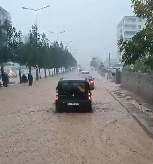 Diyarbakır'daki sağanak felaketi! Köprü yıkıldı, 200 hindi öldü, arı kovanları zarar gördü