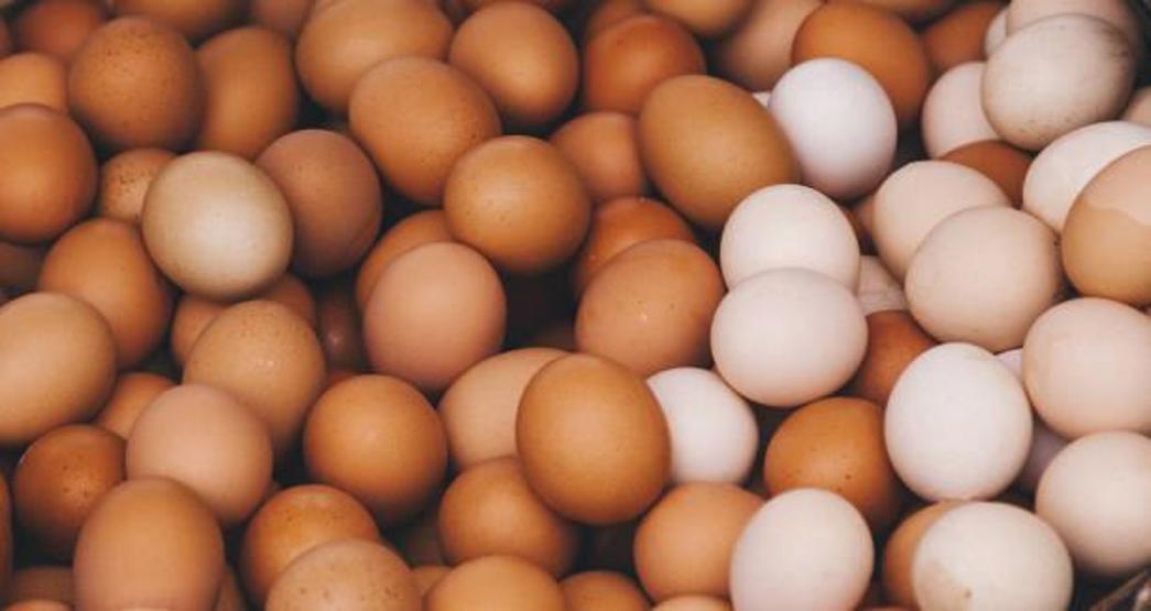 Canan Karatay'dan köy yumurtası önerisi