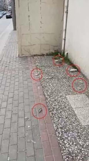 Uzman isimlerden Gemlik depremi yorumu: Sebebi Gölcük