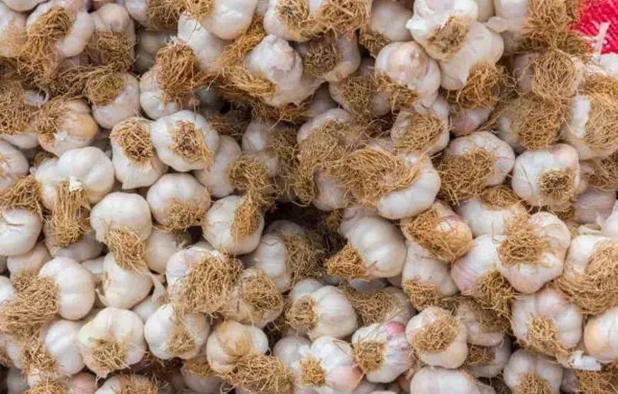 Buzdolabına koyduğunuzda zehir saçıyor Hastalıklara davetiye çıkarıyor