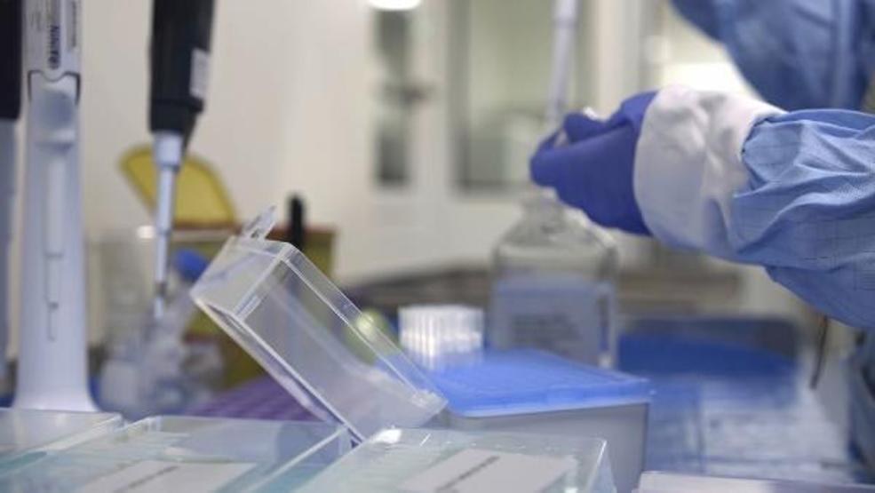 Kök hücre uygulamasıyla insülin ihtiyacı büyük oranda ortadan kalkıyor