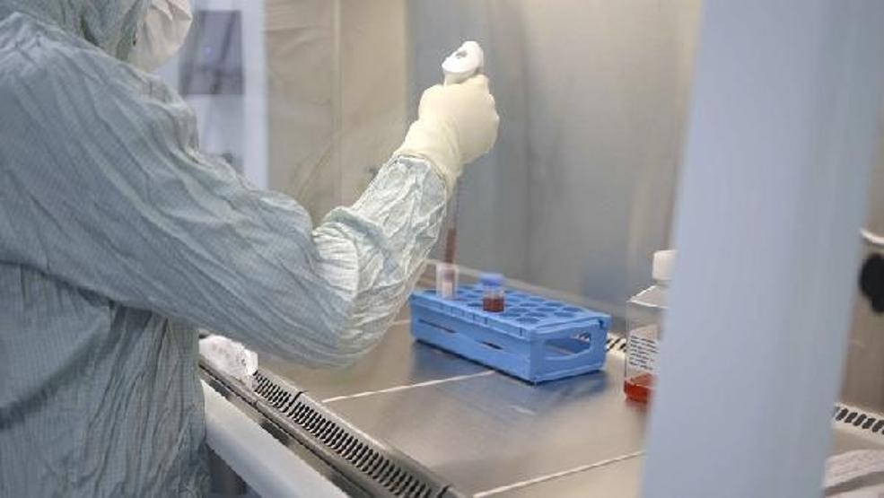 Kök hücre uygulamasıyla insülin ihtiyacı büyük oranda ortadan kalkıyor