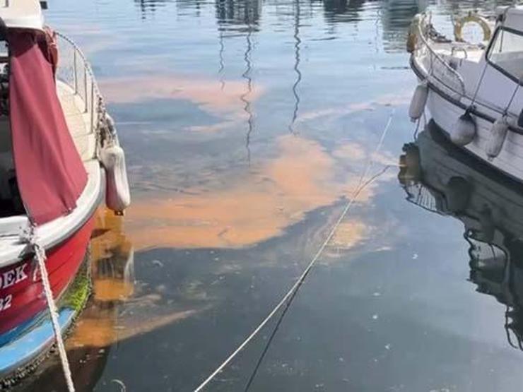 Marmara Denizi alarm veriyor Çarpıcı ifade: Geri gelecek...