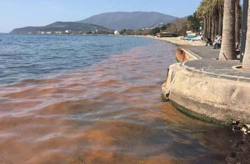 Marmara Denizi alarm veriyor Çarpıcı ifade: Geri gelecek...