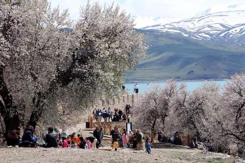 Çiçeklerin açtığı Akdamar Adasında bayram tatili yoğunluğu