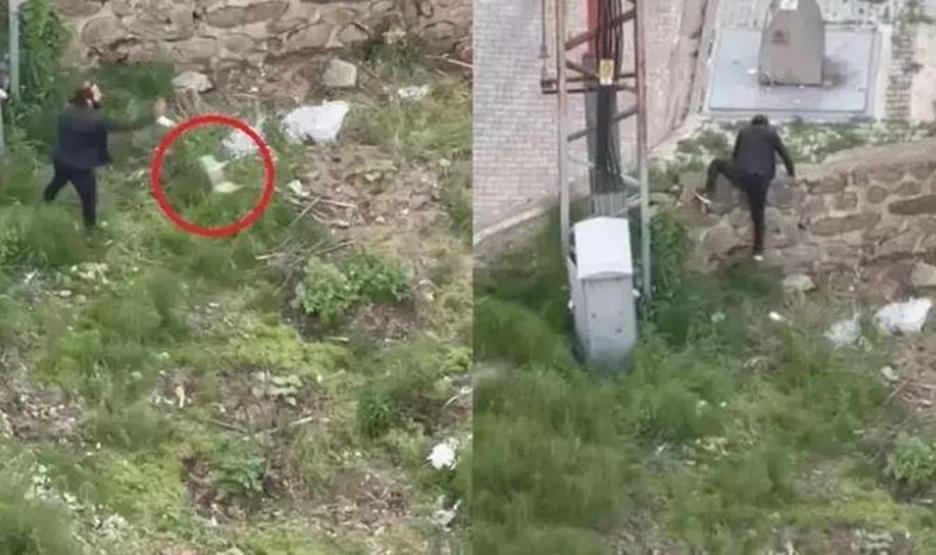 Kedi katilinden rezil savunma