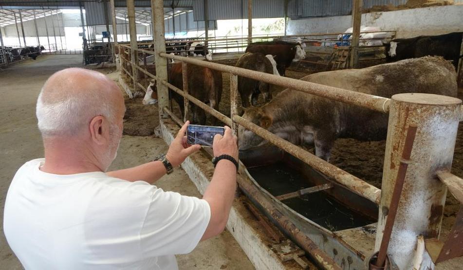 Kurban Bayramı’na sayılı günler kaldı Kıran kırana pazarlık…