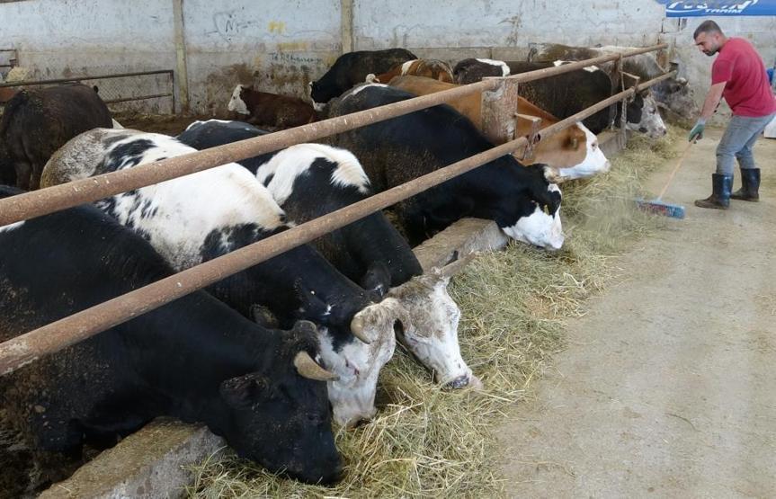 Kurban Bayramı’na sayılı günler kaldı Kıran kırana pazarlık…