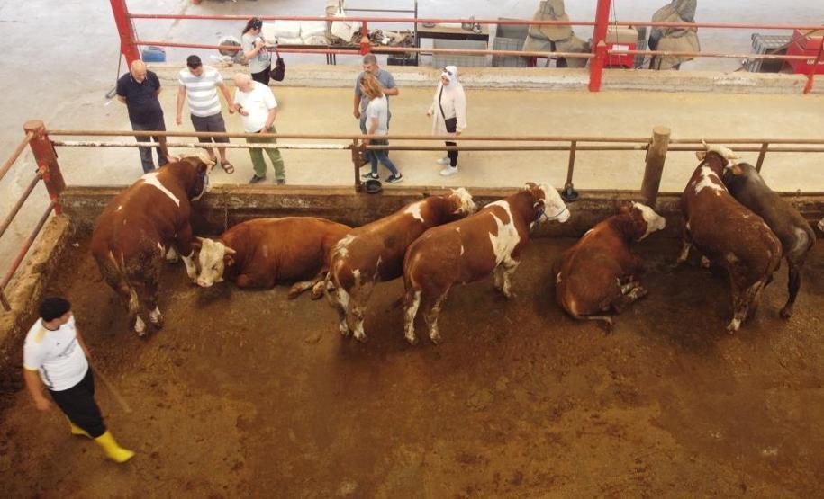 Kurban Bayramı’na sayılı günler kaldı Kıran kırana pazarlık…