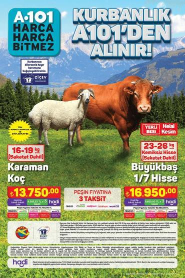 13 Haziran A101 Aktüel Ürünler Kataloğu Listesi