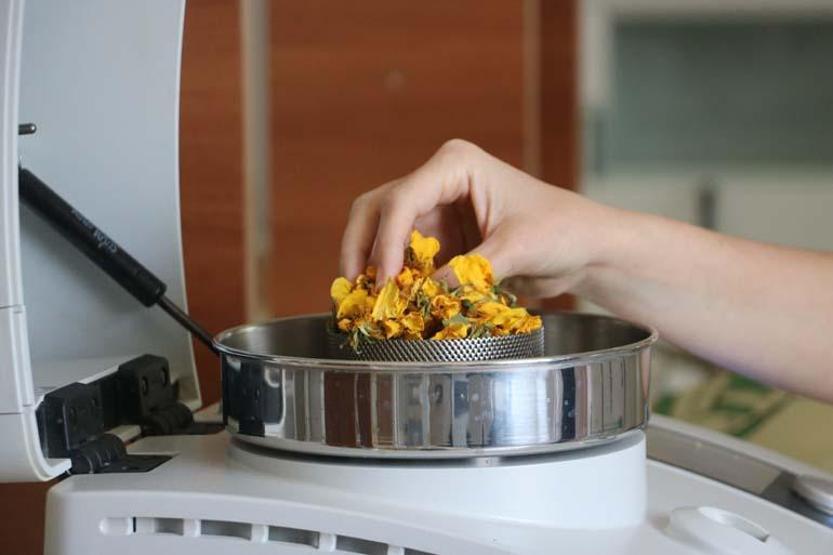 Sivas'ta yeti�iyor, d�nyaya �ifa olacak! Etkisi ara�t�r�ld�: �l�mc�l bula��c� hastal�klara ��z�m olabilir!