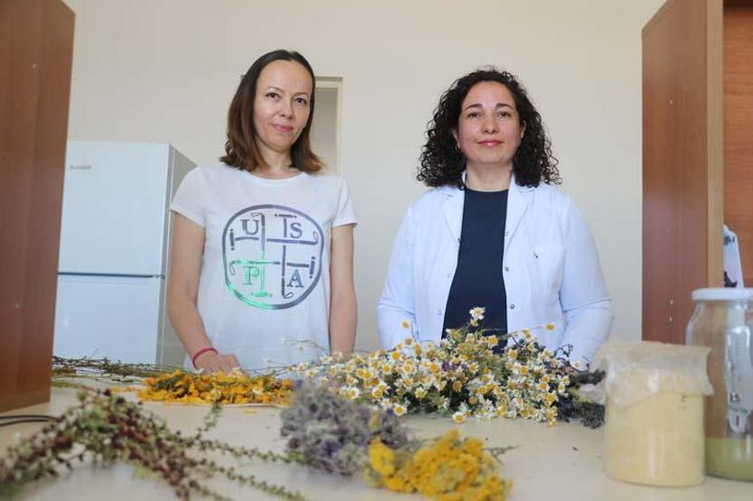 Sivas'ta yeti�iyor, d�nyaya �ifa olacak! Etkisi ara�t�r�ld�: �l�mc�l bula��c� hastal�klara ��z�m olabilir!