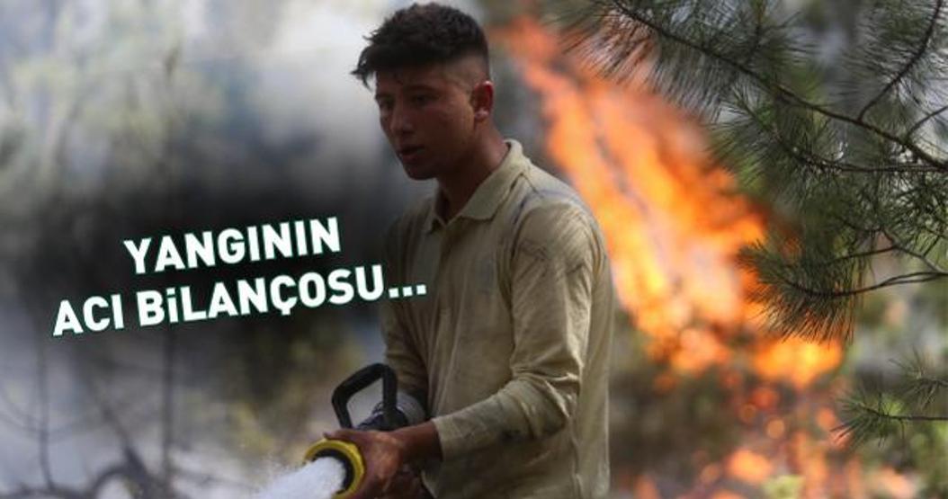 Bursadaki yangınların acı bilançosu: 490 futbol sahası büyüklüğünde alan yandı