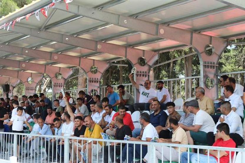 İnzibat adlı tay 2 milyon liraya satıldı