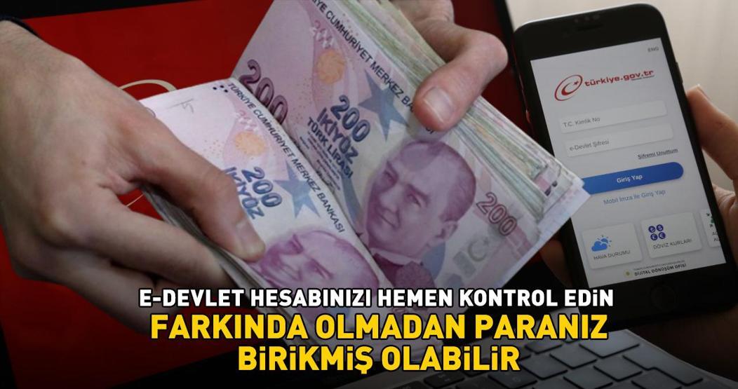 Dikkat birçok kişi bilmiyor E-devlet hesabınızda binlerce lira birikmiş olabilir Hemen kontrol edin