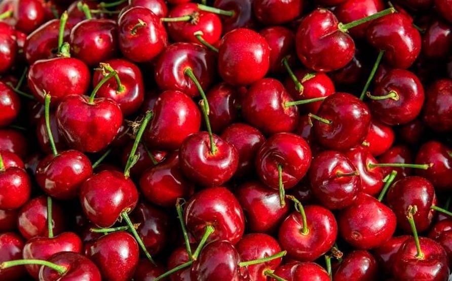 Karın yağlarının baş düşmanı çıktı Kiraz meyvesinin bu faydalarını biliyor musunuz