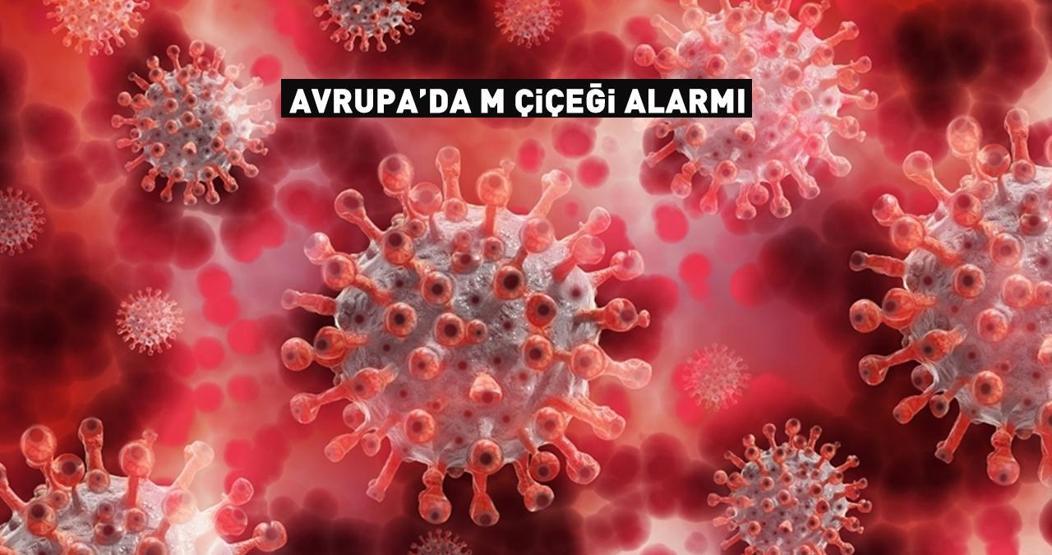 Avrupada M çiçeği alarmı: İthal vakalar artabilir