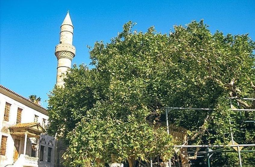 TATİL PLANI YAPANLAR DİKKAT Giden dönmek istemiyor 7 günlük kapıda vize uygulaması sunan Yunan adalarının en büyüleyicisi