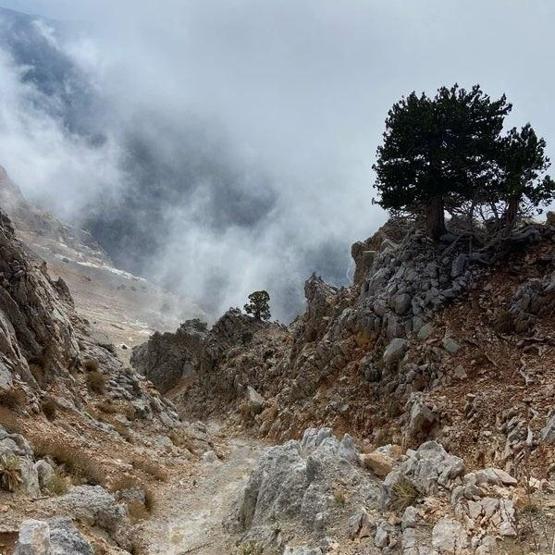 MARMARANIN GİZLİ CENNETİ Tatilciler dikkat İstanbula yalnızca 2.5 saat uzaklıkta: Ege ve Akdenizi aratmıyor