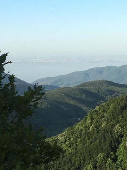 HAFTA SONU TATİLCİLERİNİN GÖZDESİ İstanbulun yanı başındaki tatil cenneti:Marmara’nın incisi