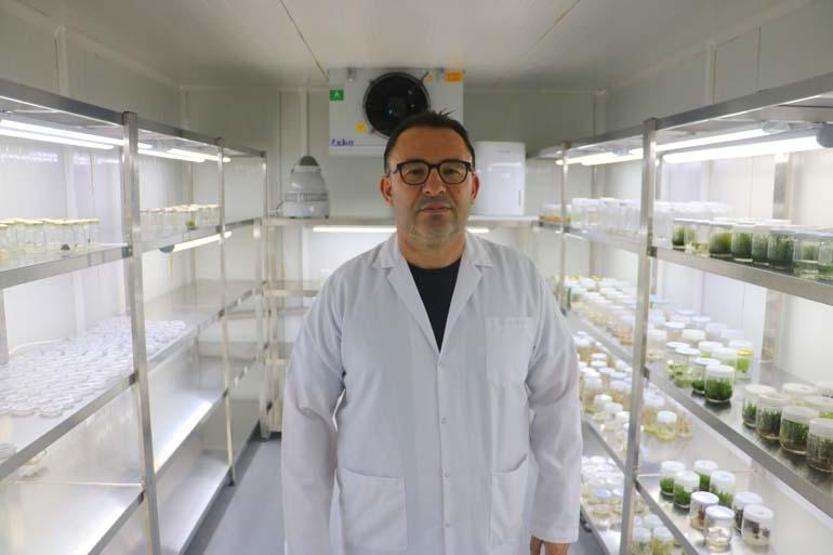 Aman dikkat Sonuçları çok ağır olabiliyor... Bu iki otu karıştıran soluğu hastanede alıyor