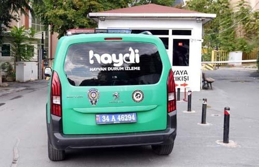 Polis Şeyda tüm Türkiyeyi yasa boğdu Suç makinesiyle ilgili yeni bilgiler: İhmaller zinciri