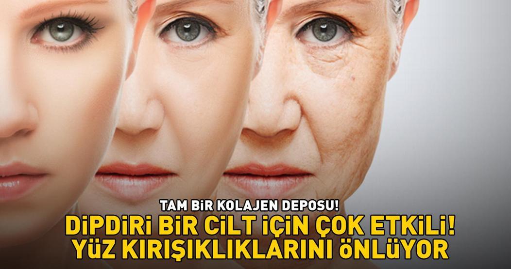 DİPDİRİ BİR CİLT İÇİN EN ETKİLİSİ Yüz kırışıklıklarını önlüyor, yaşlanmayı geciktiriyor Tam bir kolajen deposu