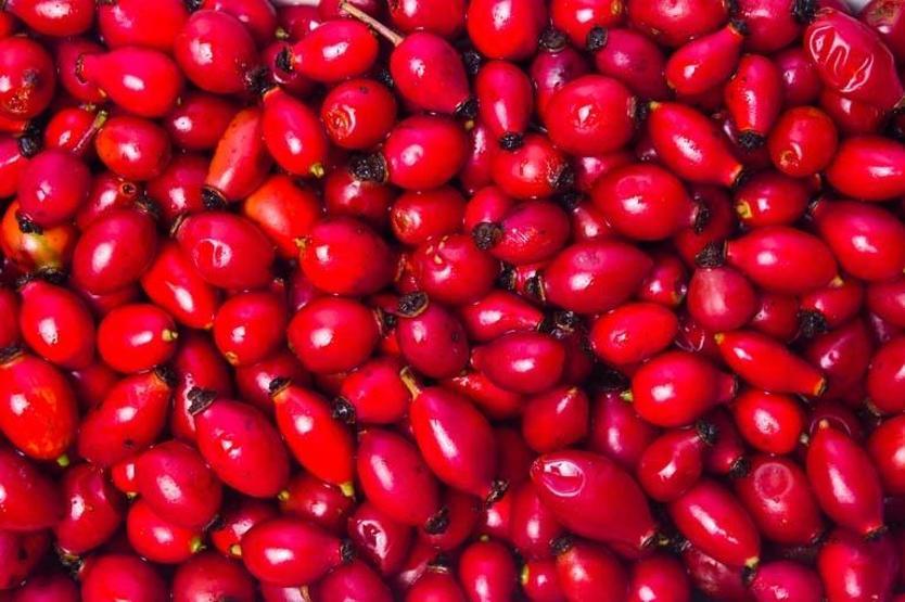 C vitamini açısından en zengin besin Marmelat, reçel ve çay olarak tüketiliyor... Vatandaşların geçim kaynağı oldu
