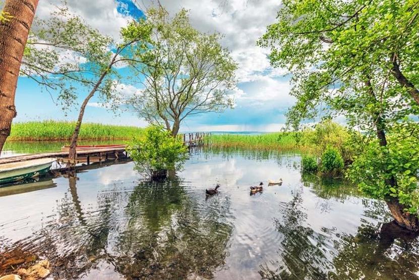 Kapadokya, Sapanca, Abant, Trabzon, Rize, Safranbolu Rota Şimdiden Oluşturuldu 9 Gün Boyunca Akın Edecekler
