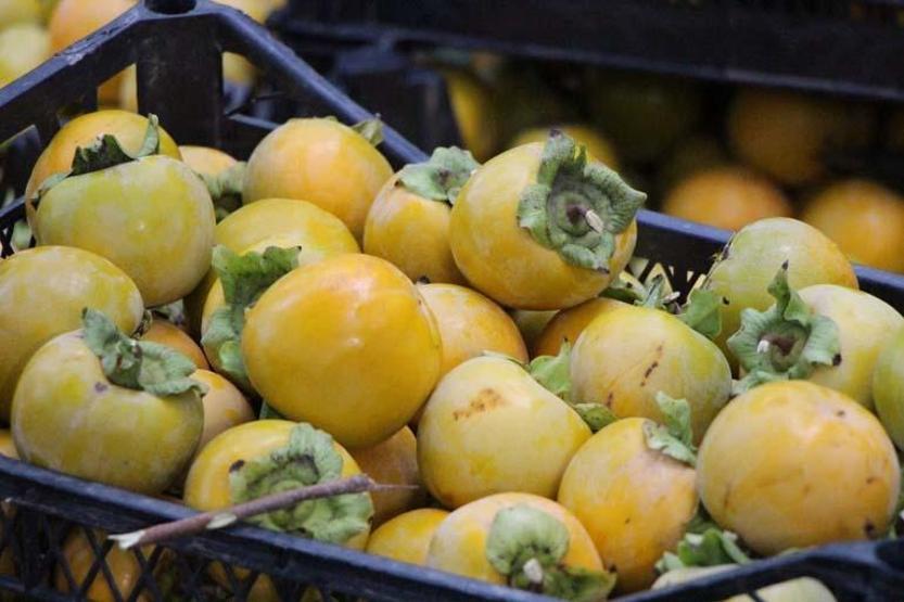 SARI ALTIN VİTAMİN DEPOSU ÇIKTI Bu meyveyi yiyen kolay kolay hastalanmıyor Doğal A, C, B1, B2 ve B3 vitaminleri, magnezyum, kalsiyum kaynağı