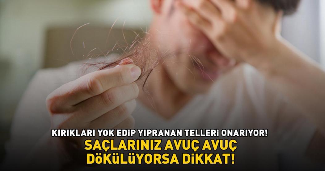SAÇLARINIZ AVUÇ AVUÇ DÖKÜLÜYORSA DİKKAT Kırıkları bile yok ediyor, yıpranan telleri onarıyor: 1 saat bekletmek yetiyor