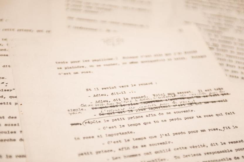 K���k Prens'in nadir kopyas� a��k art�rmaya ��k�yor