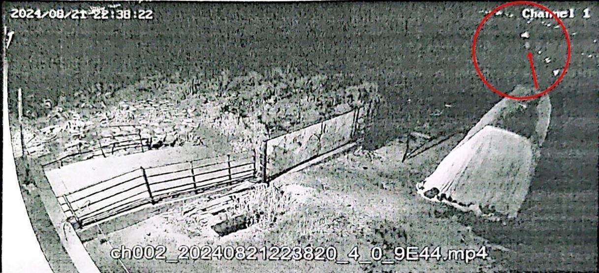 Narinin kaybolduğu gece oradaydı İşte amca Salim Güranın deredeki görüntüleri...