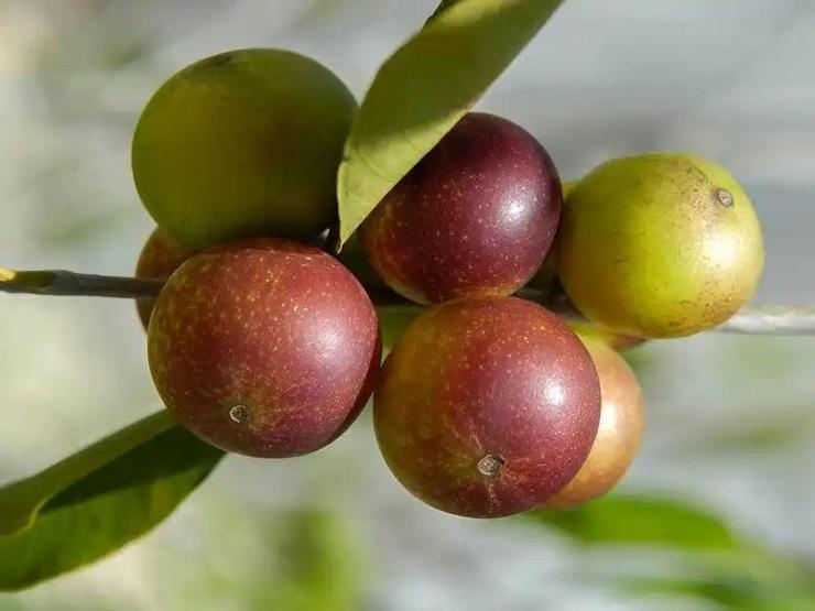 ��te k���n v�cudunuzu �elik gibi yapan pek bilinmeyen o besinler: